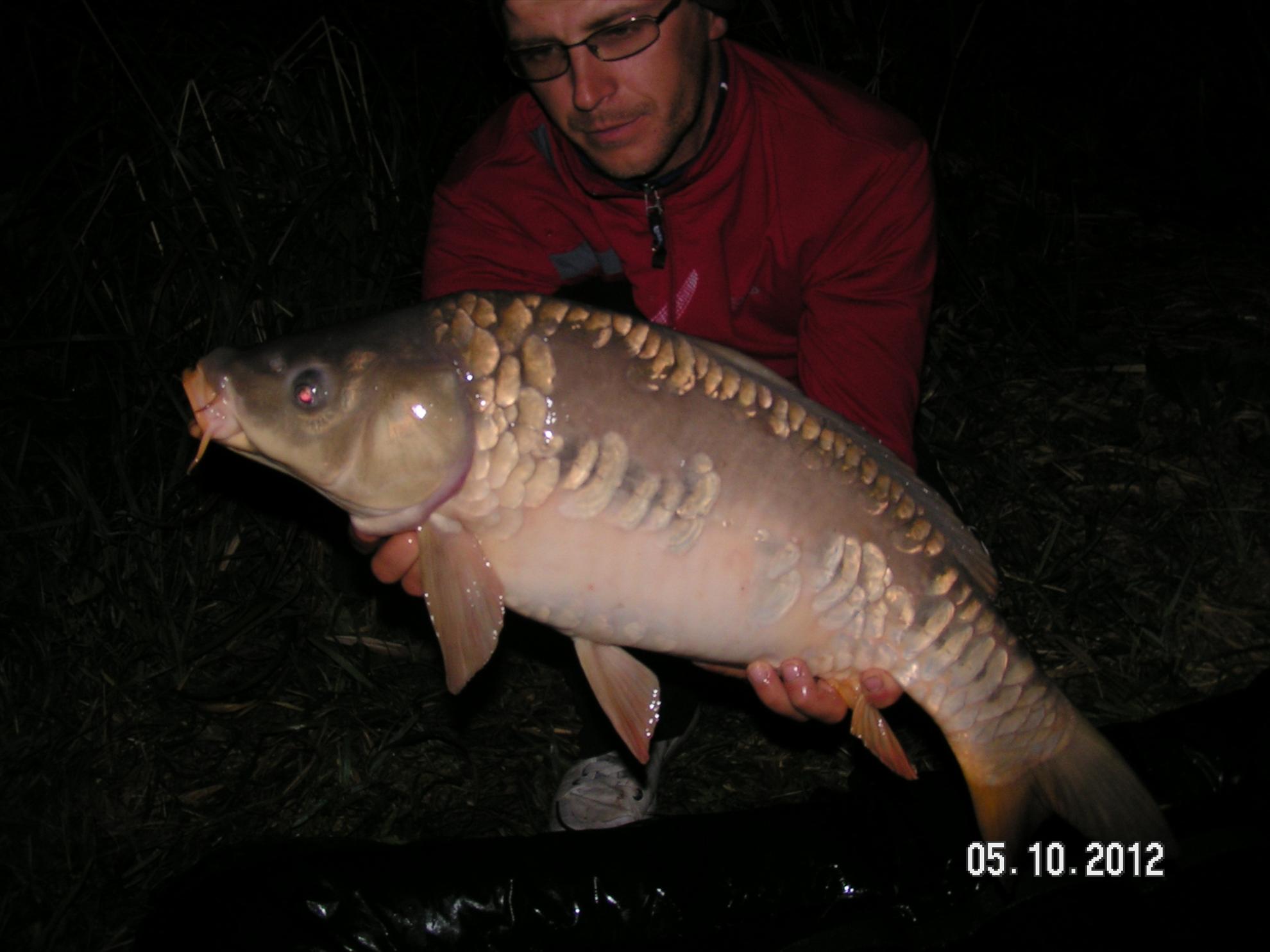 Lates 4-6.10.2012 - pict1161.JPG